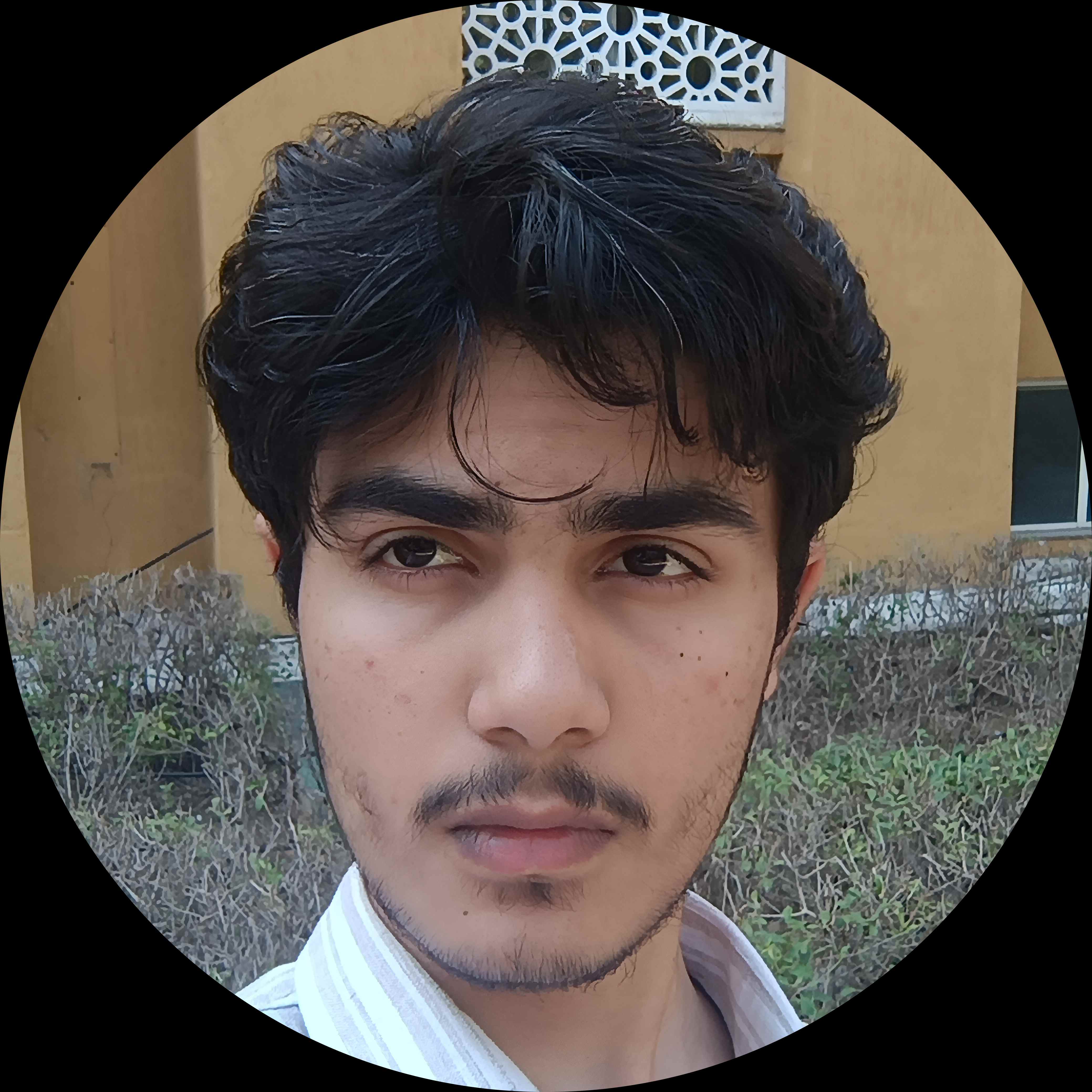 Himanshu Meena - Fullstack Developer & AI Integrator